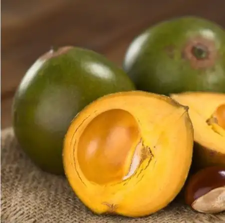 Lucuma